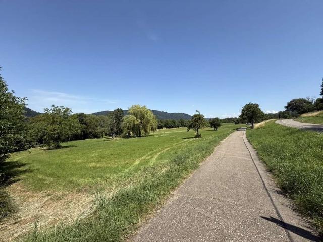 Wohnung zum Kaufen in Waldkirch 284.000,00 EUR 79 m²