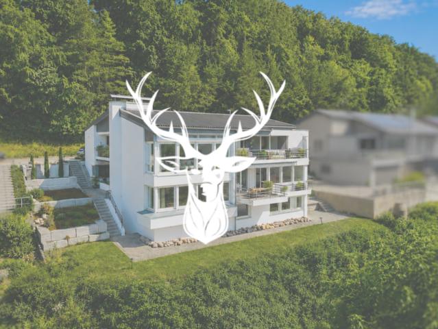 Wohnung zum Kaufen in Waldshut Tiengen 499.000,00 EUR 152 m²
