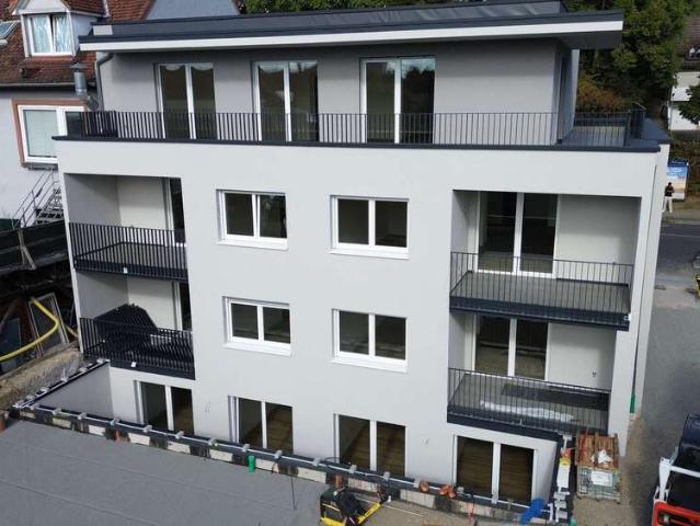Wohnung zum Kaufen in Weinheim 719.000,00 EUR 120.82 m²