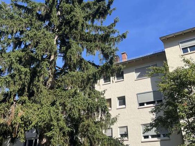 Wohnung zum Kaufen in Wiesbaden 259.000,00 EUR 65 m²