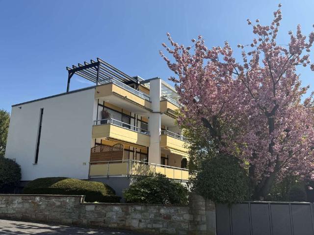 Wohnung zum Kaufen in Wiesbaden 375.000,00 EUR 93 m²