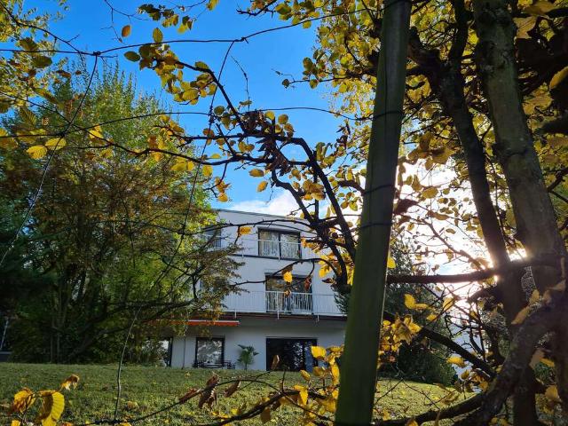 Wohnung zum Kaufen in Wiesbaden 659.000,00 EUR 115 m²
