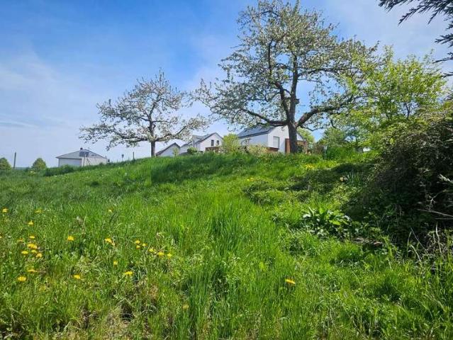 Wohnung zum Kaufen in Taunusstein 455.000,00 EUR 123.72 m²