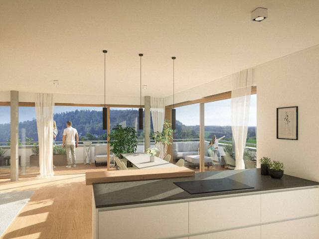 Wohnung zum Kaufen in Tuttlingen 1.053.000,00 EUR 162 m²