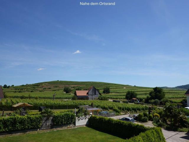 Wohnung zum Kaufen in Vogtsburg im Kaiserstuhl 339.000,00 EUR 124 m²
