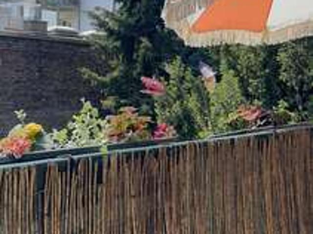 Wohnung zum Mieten in Bochum 850,00 € 73 m²