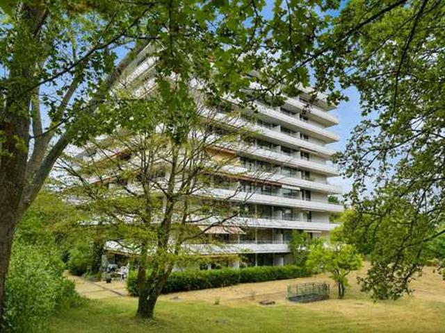 Wohnung zum Mieten in Bonn 650,00 € 54 m²