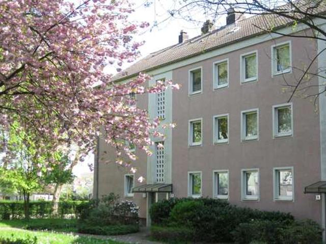 Wohnung zum Mieten in Gelsenkirchen 310,00 € 41 m²