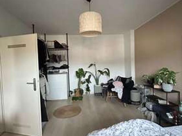 Wohnung zum Mieten in Dortmund 490,00 € 40 m²