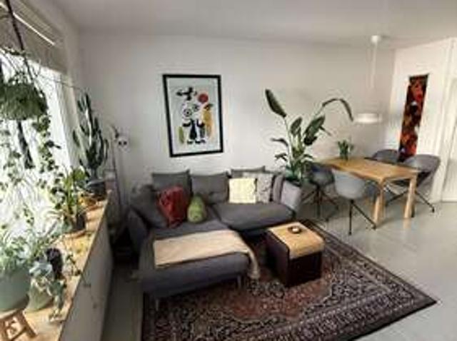 Wohnung zum Mieten in Dortmund 513,00 € 57 m²