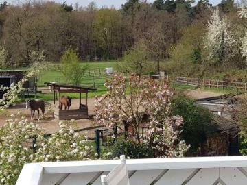 Dreieichenhain, Taunus, Rheinland-Pfalz