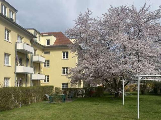 Wohnung zum Mieten in Dresden 510,00 € 52 m²
