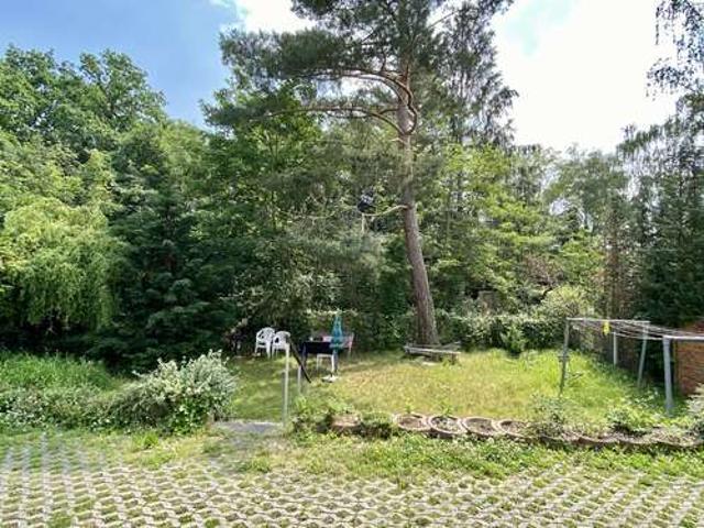 Wohnung zum Mieten in Leipzig 380,00 € 50 m²