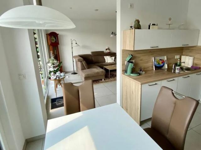 Wohnung zur Miete in Emsdetten Seniorengerechtes Wohnkonzept mit parkähnlicher Gartenanlage
