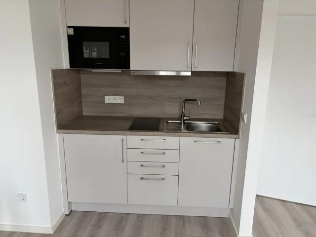 Wohnung zur Miete in Münster Erstbezug nach Sanierung modernes Single Apartment in St. Mauritz