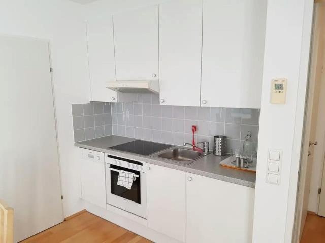 Wohnung 1 Schlafzimmer Zu Vermieten Vienna Vienna 1545 ELS101058564