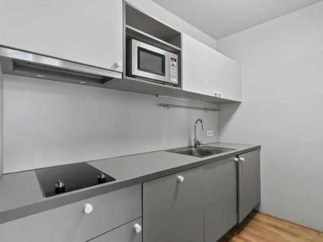Wohnung 1 Schlafzimmer Zu Vermieten Vienna Vienna 1199 ES105282649
