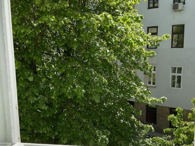 Wohnung 1 Schlafzimmer Zu Vermieten Vienna Vienna 1250 ES104783046