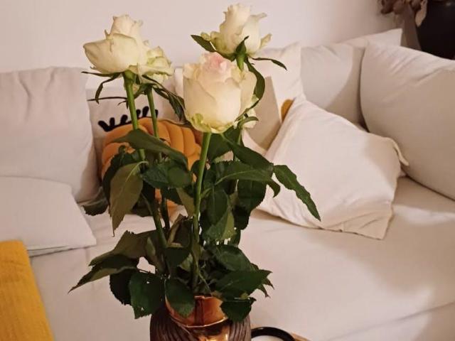 Wohnung 1 Schlafzimmer Zu Vermieten Vienna Vienna 1350 ES104783611