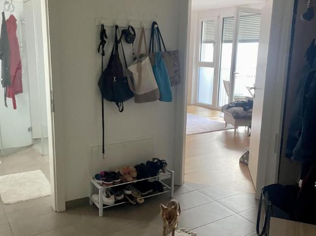 Wohnung 1 Schlafzimmer Zu Vermieten Graz AUT 384 ES103014414