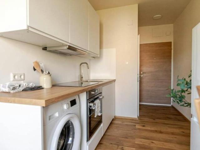 Wohnung 1 Schlafzimmer Zu Vermieten Graz Graz 1280 ES105655114