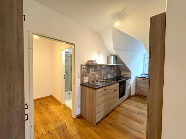 Wohnung 1 Schlafzimmer Zu Vermieten Krems An Der Donau Krems An Der Donau 679 ES105605913