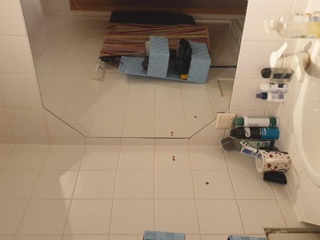 Wohnung 1 Schlafzimmer Zu Verkaufen Salzburg AUT 182000 ELS101780150