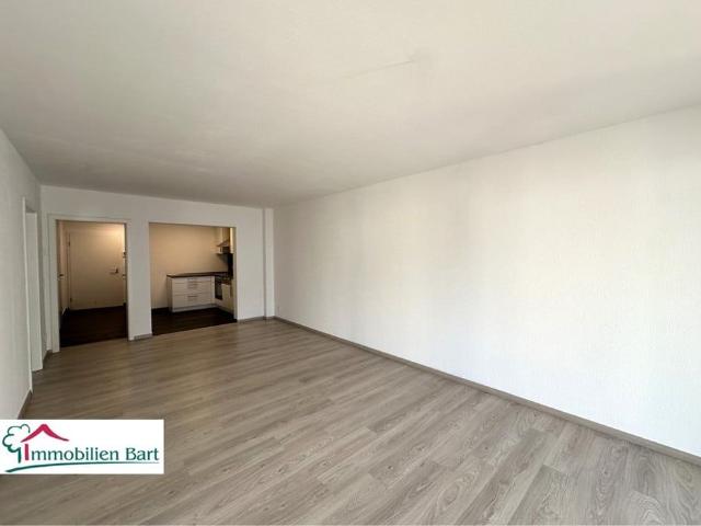 Wohnung 1 Zimmer zu vermieten in Merzig