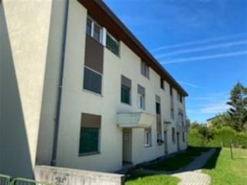Wohnung,2.5,50