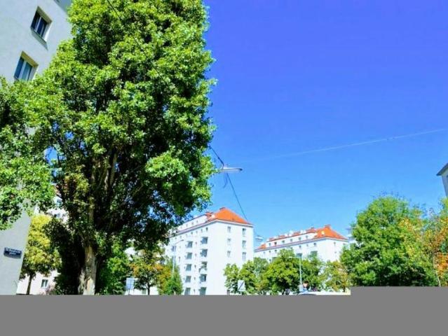 Wohnung 2 Schlafzimmer Zu Vermieten Vienna Vienna 1600 ES105527427