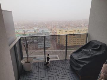 Wohnung 2 Schlafzimmer Zu Vermieten Wien AUT 687 ELS102772982