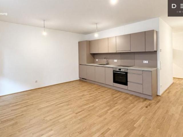 Wohnung 2 Schlafzimmer Zu Vermieten Wien Wien 1241 ES106033951