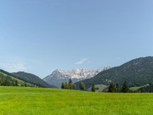 Wohnung 2 Schlafzimmer Zu Vermieten Hochfilzen Hochfilzen 1711 ES105121657