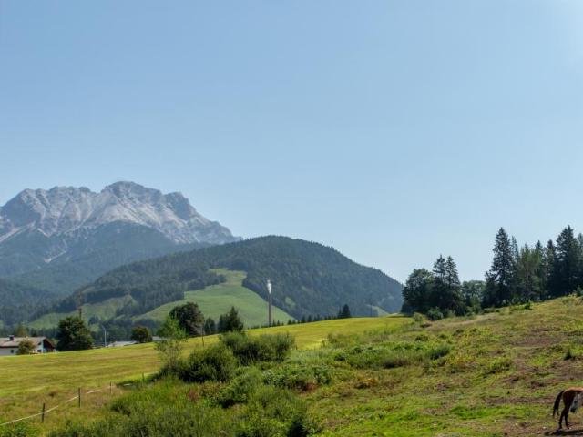 Wohnung 2 Schlafzimmer Zu Verkaufen Hochfilzen Hochfilzen 686000 ES105084386