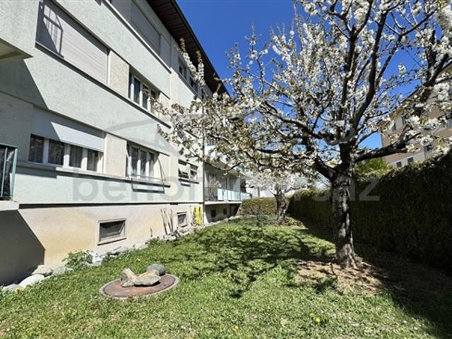 3,5 Zimmer Wohnung