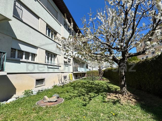 3,5 Zimmer Wohnung