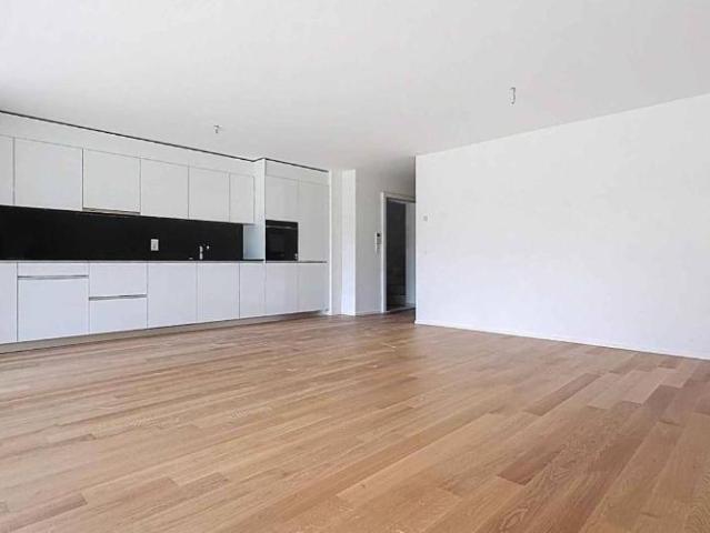 Neue 3,5 Zimmer Wohnung mit Terrassen und Garten