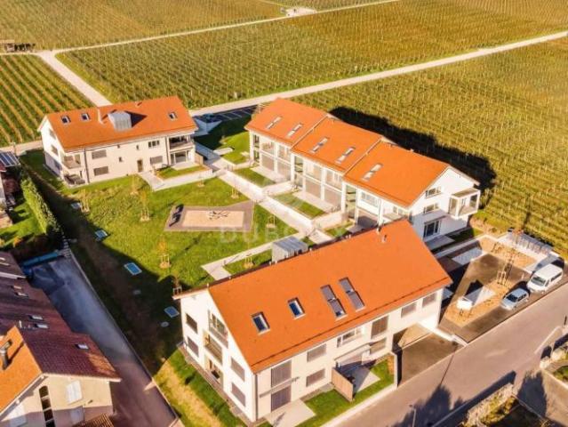 Wohnung mit 3.5 Zimmern Garten