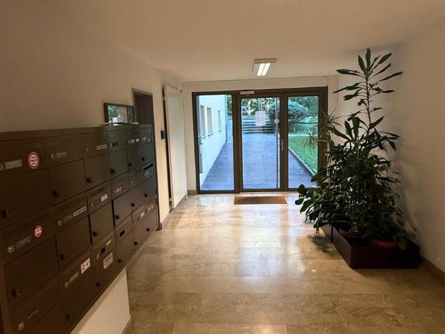 Wohnung 3,5 Zimmer zur Renovierung