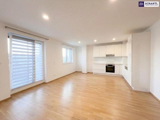 Wohnung 3 Schlafzimmer Zu Vermieten Wien Wien 1199 ES106034303