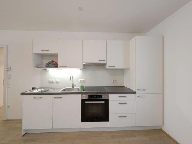 Wohnung 3 Schlafzimmer Zu Vermieten Wien Wien 2395 ES105006268