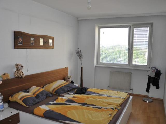 Wohnung 3 Schlafzimmer Zu Vermieten Linz AUT 745 ES105011672