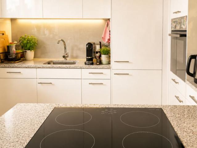 Wohnung 4.5 Zimmer