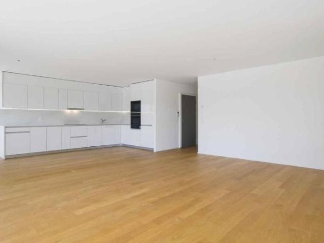 Neubau Eigentumswohnung 4.5 Zimmer Eckwohnung mit 76m² Balkon Seesicht