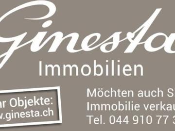 Wohnung 4.5 Zimmer