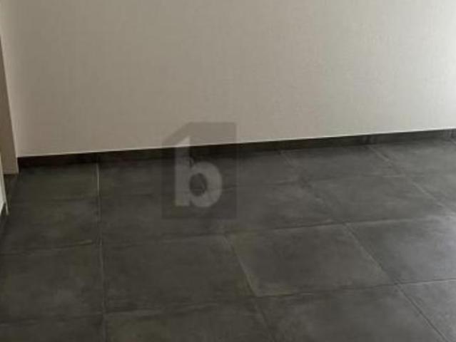Wohnung 4.5 Zimmer