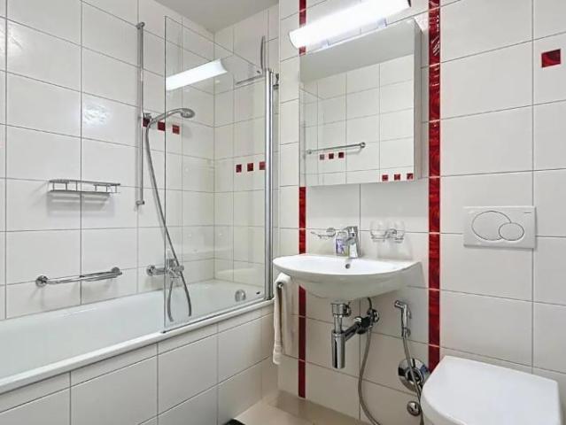 Wohnung 4.5 Zimmer