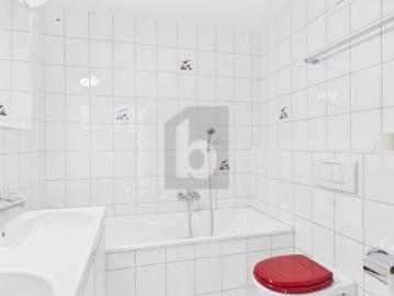 Wohnung 4.5 Zimmer