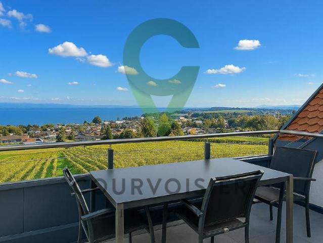 Prestigeträchtige 4,5 Zimmerwohnung mit exklusivem See und Bergpanorama