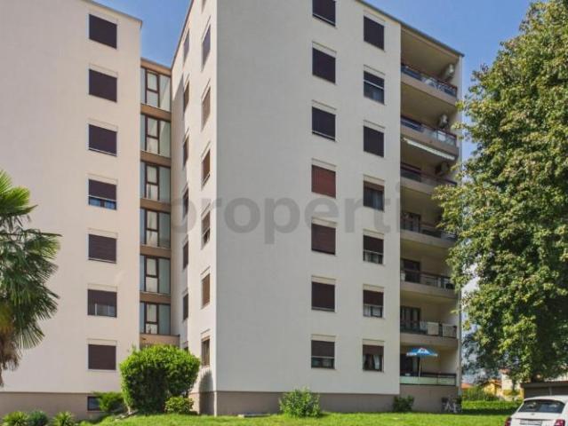 Wohnung 4.5 Zimmer